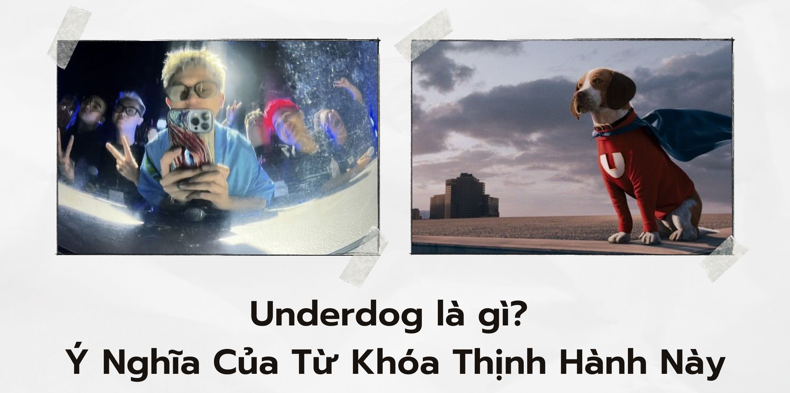 Underdog là gì? Ý Nghĩa Của Từ Khóa Thịnh Hành Này