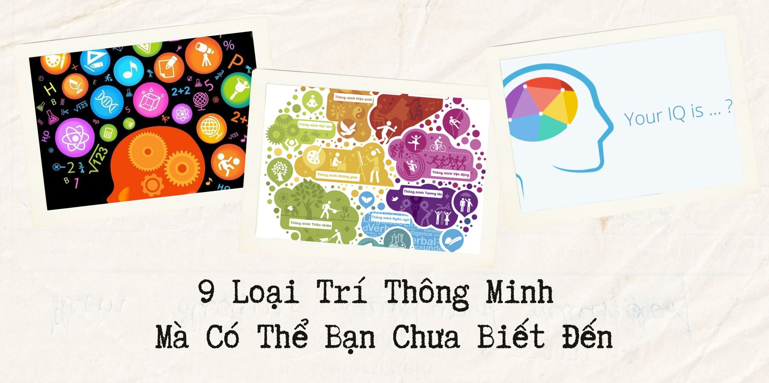9 Loại Trí Thông Minh Mà Có Thể Bạn Chưa Biết Đến