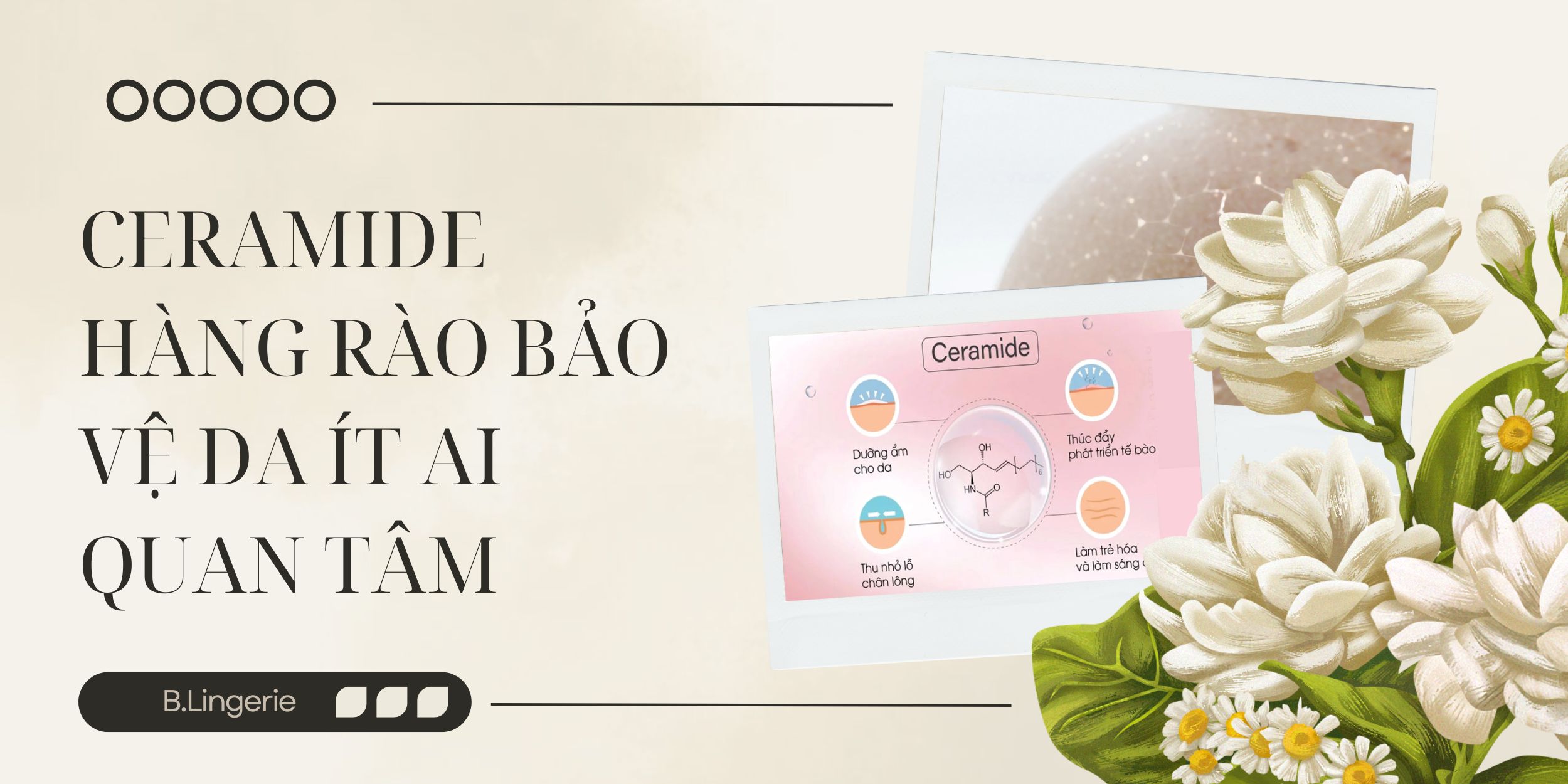 Ceramide – Hàng Rào Bảo Vệ Da Ít Ai Quan Tâm