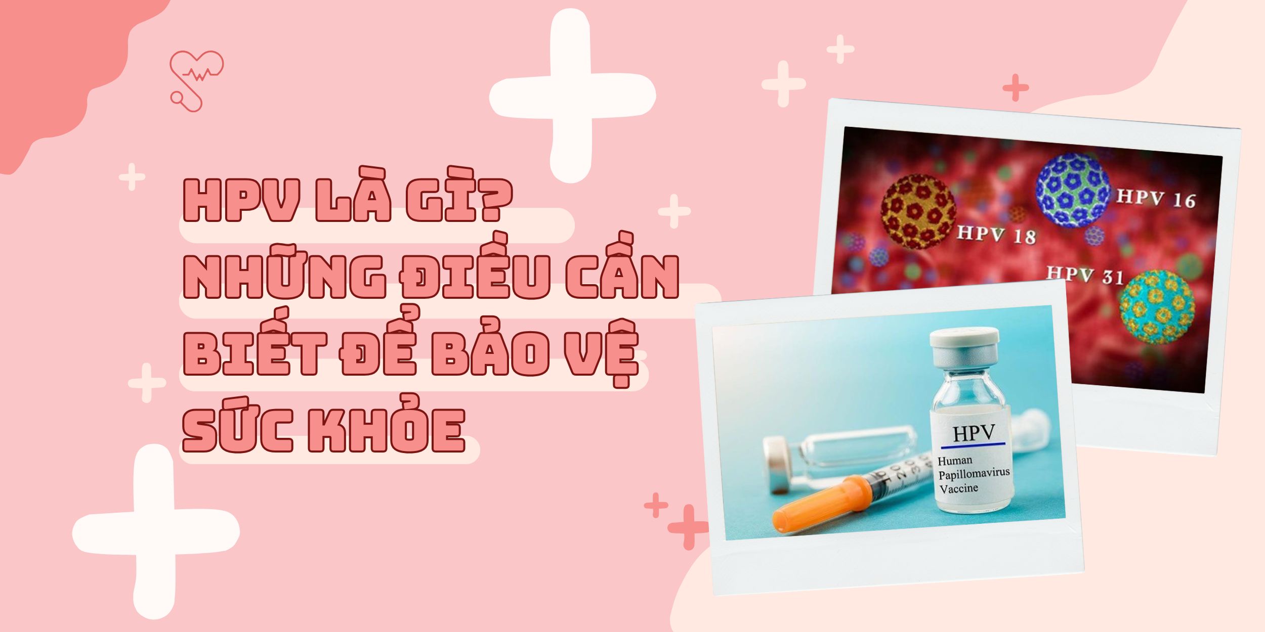 HPV Là Gì? Những Điều Cần Biết Để Bảo Vệ Sức Khỏe